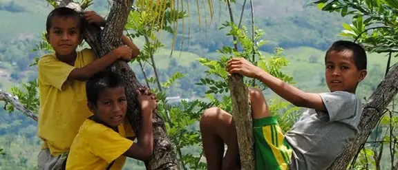 Tres niños están sentados en la rama de un árbol