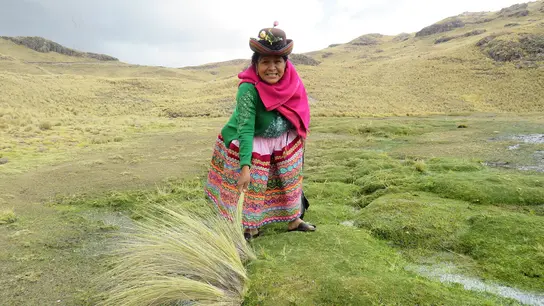 Den Folgen des Klimawandels in Peru mit traditionellem Wissen begegnen.