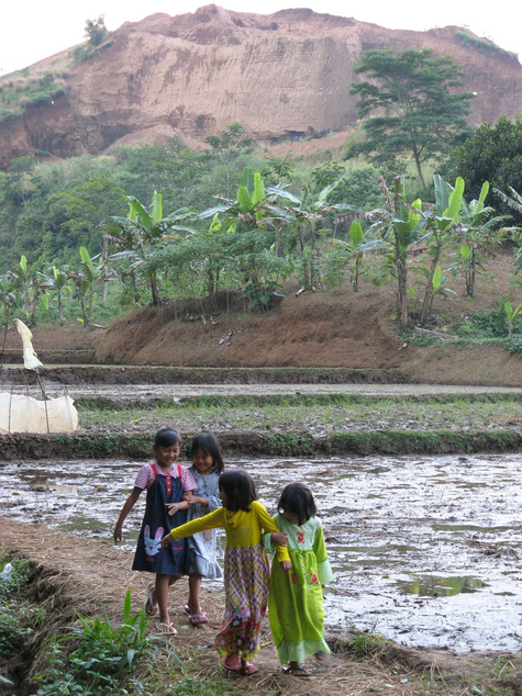 Lebensader für die Bewohner: Das Ökosystem des Flusses Cisadane ist bedroht