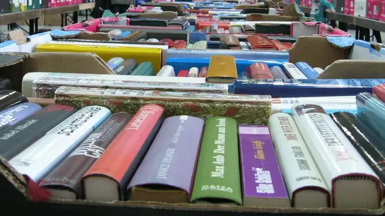Viele Bücher in Kisten