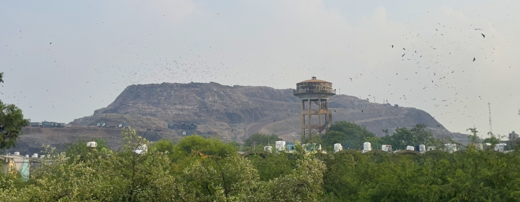 »Garbage mountain« of Ghazipur landfill site near Delhi. In the Delhi Youth Network, Sanjana is calling for action against the waste problem. 