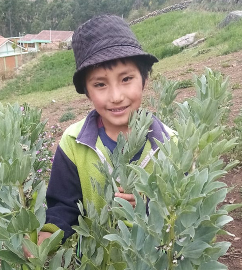 Jhonatan aus einem Dorf bei Ayacucho: »Wir waren sehr froh über das Saatgut