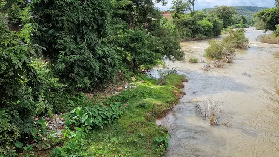 Teil des Problems: Plastikmüll, der sich an Pflanzen und im Flussbett ablagert.