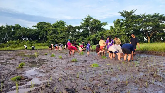 In »Nature Farms« lernen Jugendliche, Pflanzen anzubauen – dabei geht es nicht nur um Landwirtschaft, sondern auch um so grundlegende Dinge wie einen festen Tagesablauf.