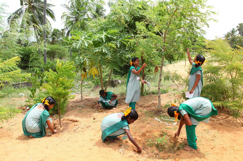 Kinder pflanzen Bäume