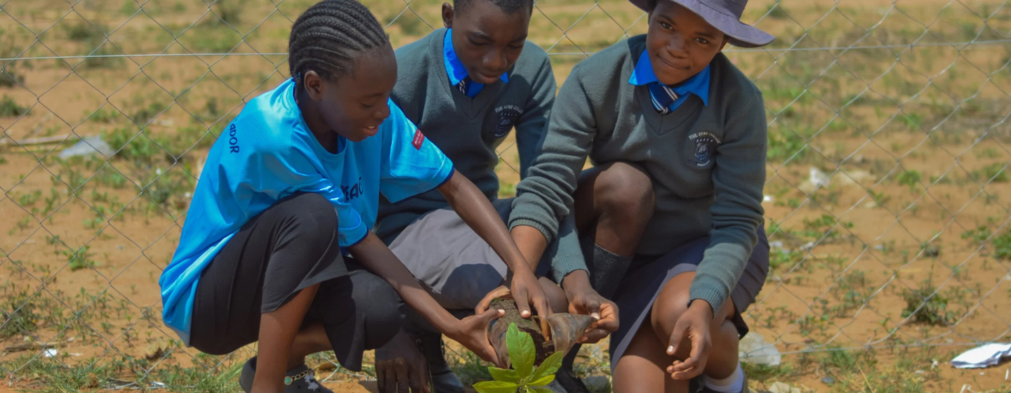Unterstützung für junge Umweltaktivist*innen: Drei Jugendliche in Simbabwe bei einer Pflanz-Aktion zum terre des hommes Global Action Month 2023, © terre des hommes