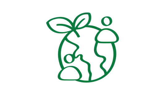 Kinder haben das Recht auf eine saubere und gesunde Umwelt.