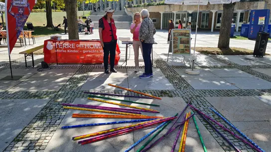 El Mikado gigante del grupo de Ludwigsburg