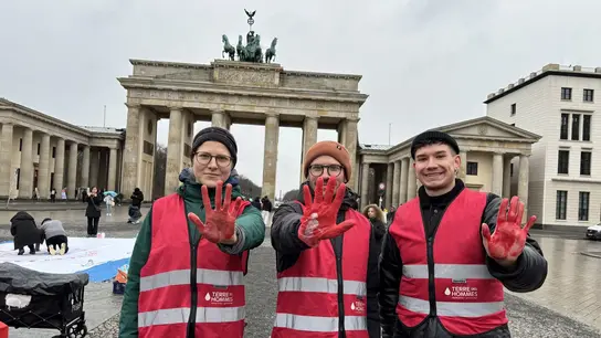 Das Deutsche Bündnis Kindersoldaten, dem auch Terre des Hommes angehört,...