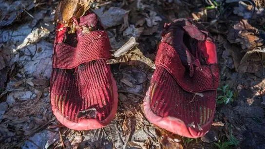 Ein paar rote Schuhe auf Waldboden