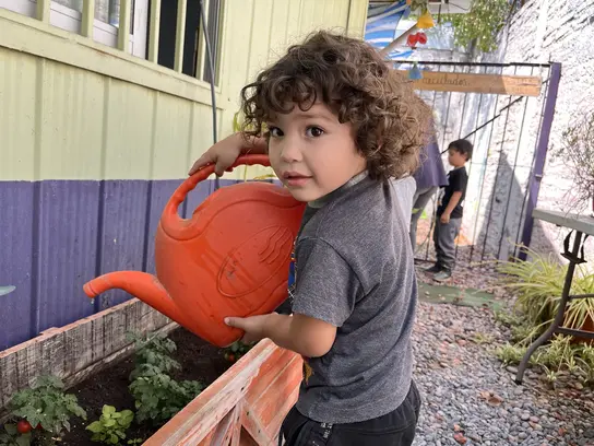 In the free kindergarten of Población La Legua, which follows the reform pedagogy of Maria Montessori, the care of plants is part of the curriculum.