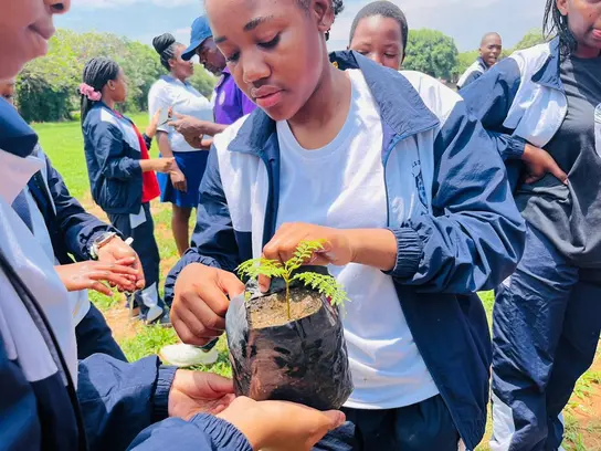 Pflanz- und Lernaktion zu heimischen Pflanzenarten, Simbabwe